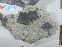 Mineral 12 - MineralExpo 2026